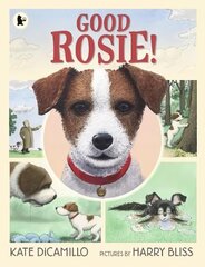 Good Rosie! цена и информация | Книги для малышей | pigu.lt