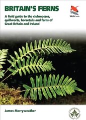 Britain's Ferns: A Field Guide to the Clubmosses, Quillworts, Horsetails and Ferns of Great Britain and Ireland kaina ir informacija | Knygos apie sveiką gyvenseną ir mitybą | pigu.lt