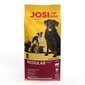 Sausas maistas suaugusiems šunims Josera Josidog Regular, 15 kg kaina ir informacija | Sausas maistas šunims | pigu.lt