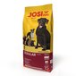 Sausas maistas suaugusiems šunims Josera Josidog Regular, 15 kg kaina ir informacija | Sausas maistas šunims | pigu.lt