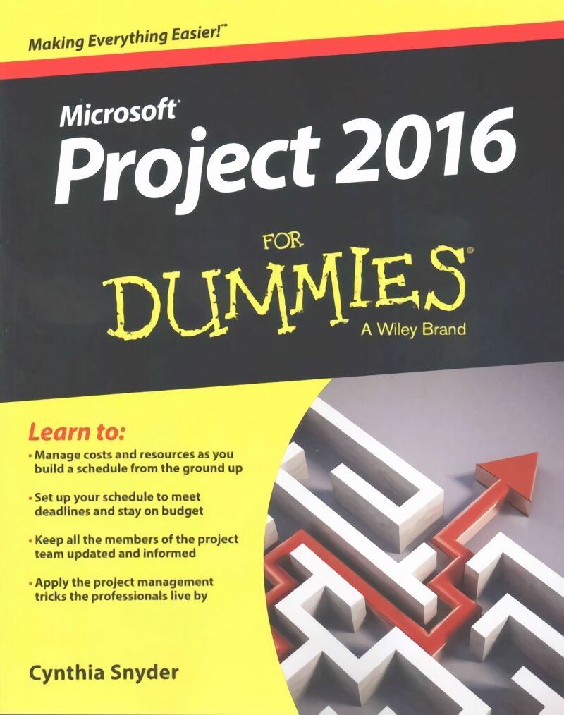 Project 2016 For Dummies kaina ir informacija | Ekonomikos knygos | pigu.lt