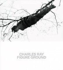 Charles Ray: Figure Ground kaina ir informacija | Knygos apie meną | pigu.lt