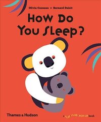 How Do You Sleep? цена и информация | Книги для самых маленьких | pigu.lt