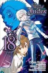 Certain Magical Index, Vol. 18 (Manga) цена и информация | Fantastinės, mistinės knygos | pigu.lt