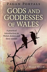 Pagan Portals - Gods and Goddesses of Wales: A practical introduction to Welsh deities and their stories kaina ir informacija | Kelionių vadovai, aprašymai | pigu.lt