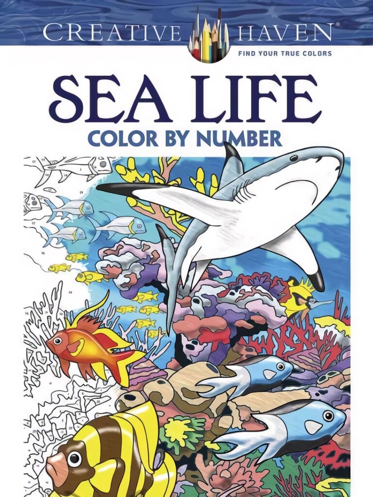 Creative Haven Sea Life Color by Number Coloring Book цена и информация | Knygos mažiesiems | pigu.lt