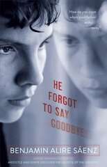 He Forgot to Say Goodbye Reprint kaina ir informacija | Knygos paaugliams ir jaunimui | pigu.lt