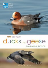 RSPB Spotlight Ducks and Geese kaina ir informacija | Knygos apie sveiką gyvenseną ir mitybą | pigu.lt