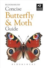 Concise Butterfly and Moth Guide kaina ir informacija | Enciklopedijos ir žinynai | pigu.lt