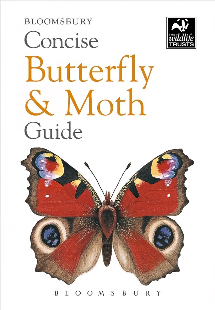Concise Butterfly and Moth Guide цена и информация | Enciklopedijos ir žinynai | pigu.lt