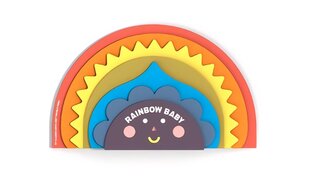 Rainbow Baby цена и информация | Книги для самых маленьких | pigu.lt