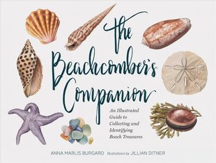 Beachcomber's Companion: An Illustrated Guide to Collecting and Identifying Beach Treasures цена и информация | Книги о питании и здоровом образе жизни | pigu.lt