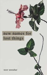 New Names for Lost Things цена и информация | Поэзия | pigu.lt