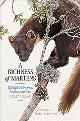 Richness of Martens: Wildlife Tales from the Highlands kaina ir informacija | Knygos apie sveiką gyvenseną ir mitybą | pigu.lt