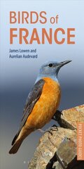 Birds of France цена и информация | Путеводители, путешествия | pigu.lt