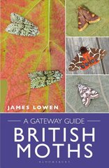 British Moths: A Gateway Guide цена и информация | Книги по экономике | pigu.lt