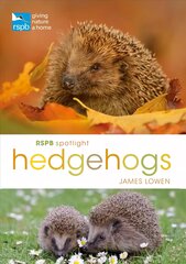 Rspb Spotlight Hedgehogs kaina ir informacija | Knygos apie sveiką gyvenseną ir mitybą | pigu.lt