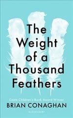 Weight of a Thousand Feathers цена и информация | Книги для подростков и молодежи | pigu.lt