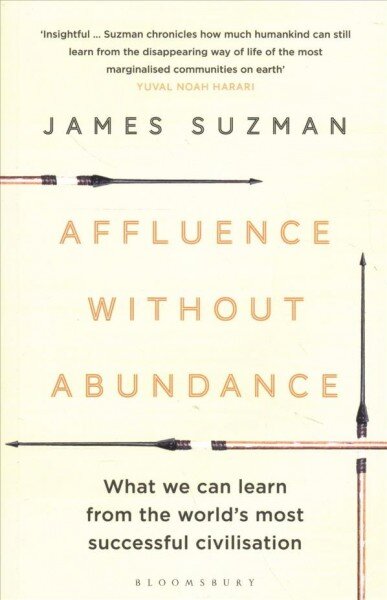 Affluence Without Abundance: What We Can Learn from the World's Most Successful Civilisation цена и информация | Socialinių mokslų knygos | pigu.lt