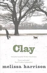 Clay kaina ir informacija | Fantastinės, mistinės knygos | pigu.lt