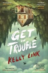 Get in Trouble: Stories Main kaina ir informacija | Fantastinės, mistinės knygos | pigu.lt