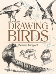 Drawing Birds цена и информация | Книги об искусстве | pigu.lt