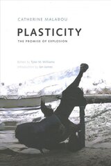 Plasticity: The Promise of Explosion цена и информация | Книги по социальным наукам | pigu.lt