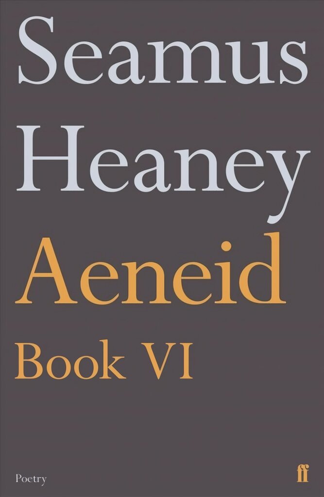 Aeneid Book VI Main kaina ir informacija | Poezija | pigu.lt