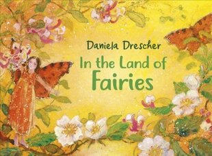 In the Land of Fairies 3rd Revised edition цена и информация | Книги для самых маленьких | pigu.lt