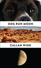 Dog Run Moon: Stories цена и информация | Fantastinės, mistinės knygos | pigu.lt