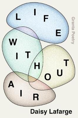 Life Without Air kaina ir informacija | Poezija | pigu.lt