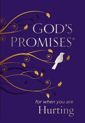God's Promises for When You are Hurting kaina ir informacija | Dvasinės knygos | pigu.lt