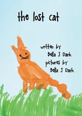 Lost Cat цена и информация | Книги для самых маленьких | pigu.lt