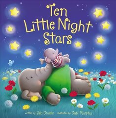 Ten Little Night Stars цена и информация | Книги для малышей | pigu.lt