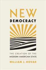 New Democracy: The Creation of the Modern American State цена и информация | Исторические книги | pigu.lt