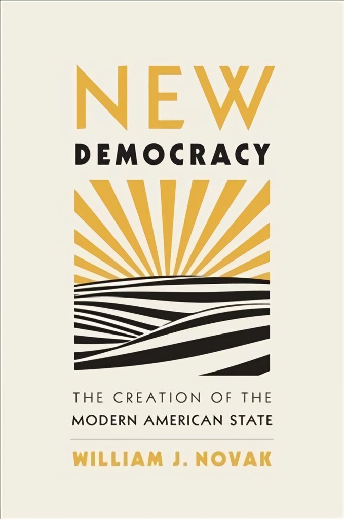 New Democracy: The Creation of the Modern American State kaina ir informacija | Istorinės knygos | pigu.lt