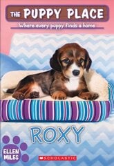 Roxy (the Puppy Place #55): Volume 55 kaina ir informacija | Knygos paaugliams ir jaunimui | pigu.lt