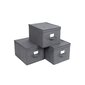 Songmics sulankstomos dėžutės su dangteliais RFB03G kaina ir informacija | Daiktadėžės | pigu.lt