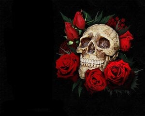 Deimantinė mozaikinė kaukolė ir rožės 40x50 cm kaina ir informacija | Deimantinės mozaikos | pigu.lt