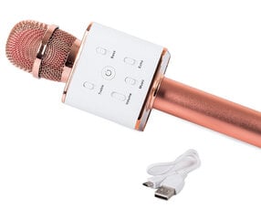 Беспроводной караоке-микрофон цена и информация | Микрофоны | pigu.lt