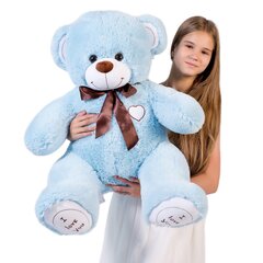 Плюшевый медведь "I love you" 110 см Светло-голубой цена и информация | Мягкие игрушки | pigu.lt