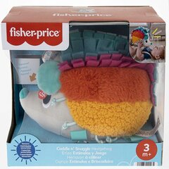 Сенсорная игрушка Fisher Price Colorful Hedgear цена и информация | Мягкие игрушки | pigu.lt