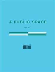 Public Space No. 30 kaina ir informacija | Apsakymai, novelės | pigu.lt