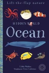 Hidden World: Ocean цена и информация | Книги для самых маленьких | pigu.lt