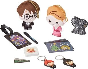 Harry Potter Enchanted Advent Calendar (33160032) цена и информация | Атрибутика для игроков | pigu.lt