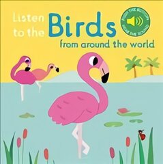 Listen to the Birds From Around the World цена и информация | Книги для самых маленьких | pigu.lt