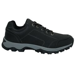 Rudeniniai batai vyrams Vico 422080112 kaina ir informacija | Vyriški batai | pigu.lt