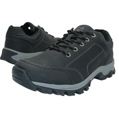 Rudeniniai batai vyrams Vico 422080112 kaina ir informacija | Vyriški batai | pigu.lt