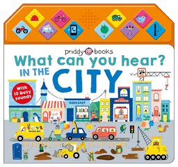 What Can You Hear? In The City kaina ir informacija | Knygos mažiesiems | pigu.lt