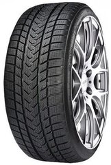 GRIPMAX Suregrip Pro Winter 225/35R18 87V XL цена и информация | Зимняя резина | pigu.lt